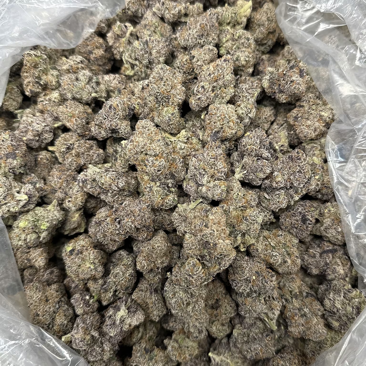Gary Runtz THCA Flower - Image 3