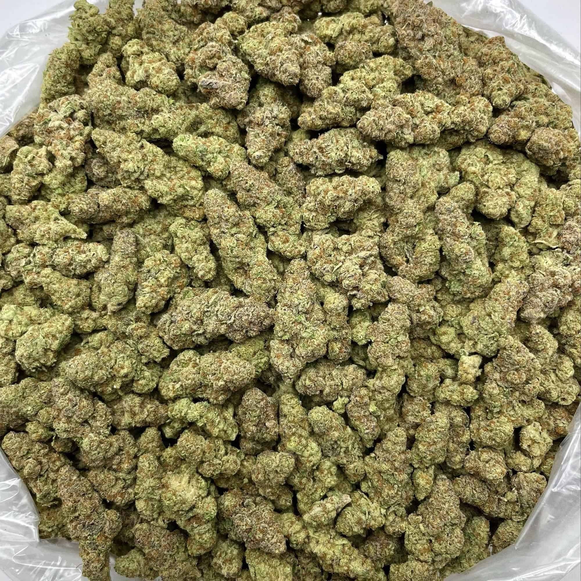 Glitter Bomb THCA Flower - Image 3