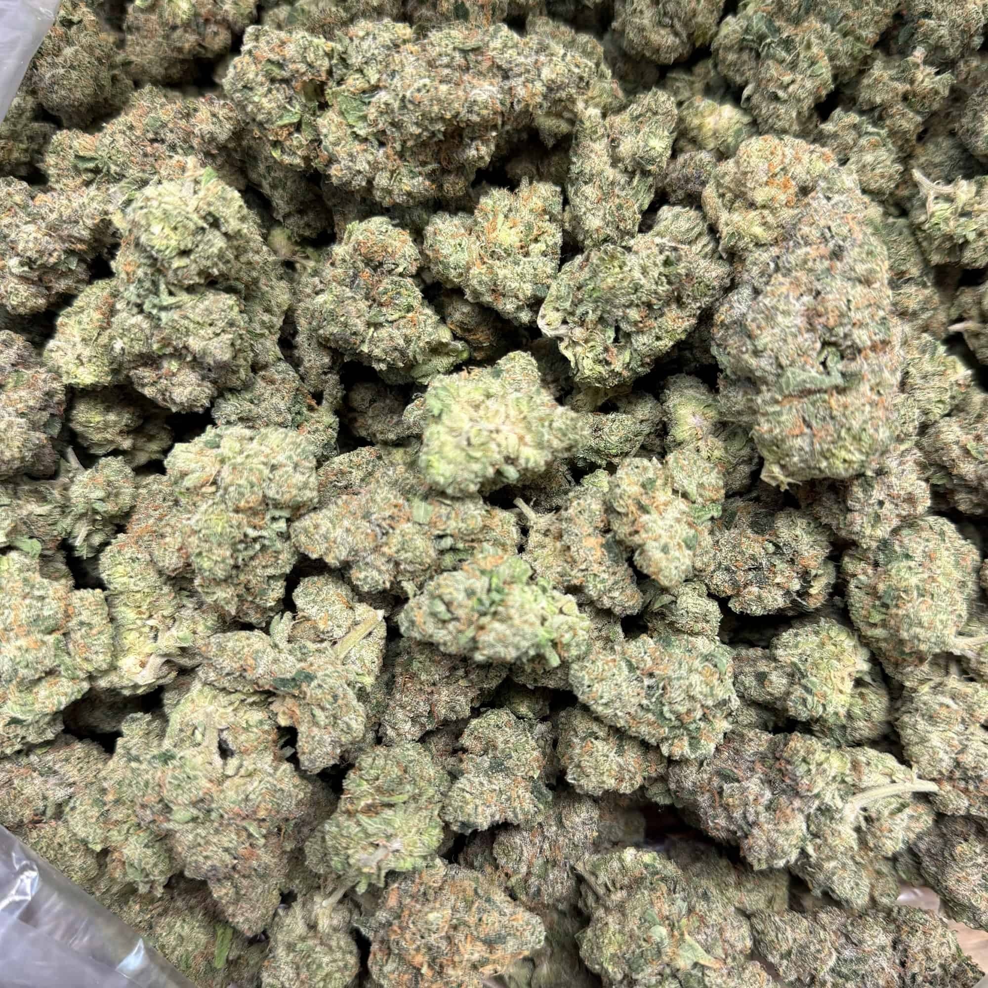 Guava Cookies THCA Flower Pounds - Image 3