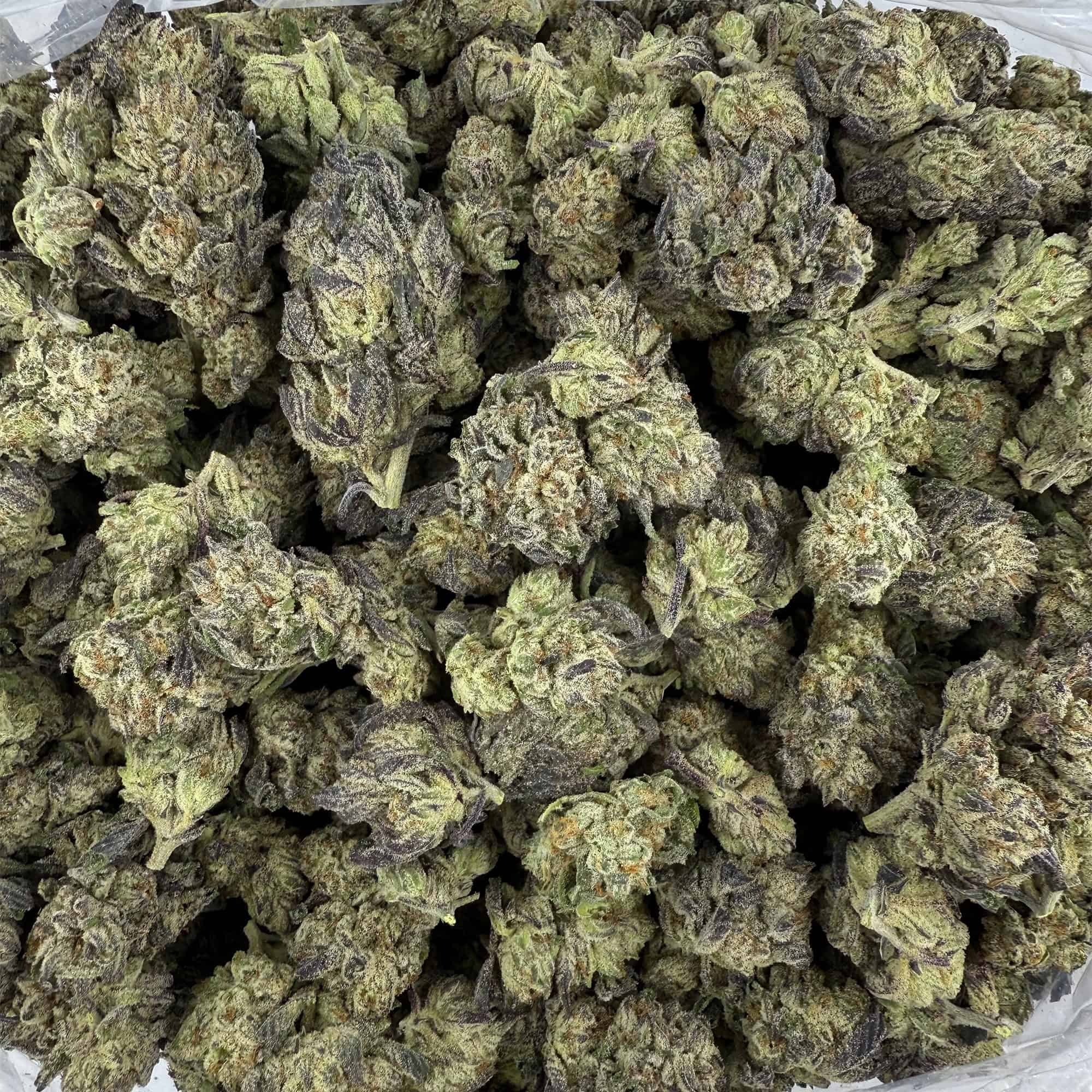 Gush Mintz THCA Flower Pounds - Image 3