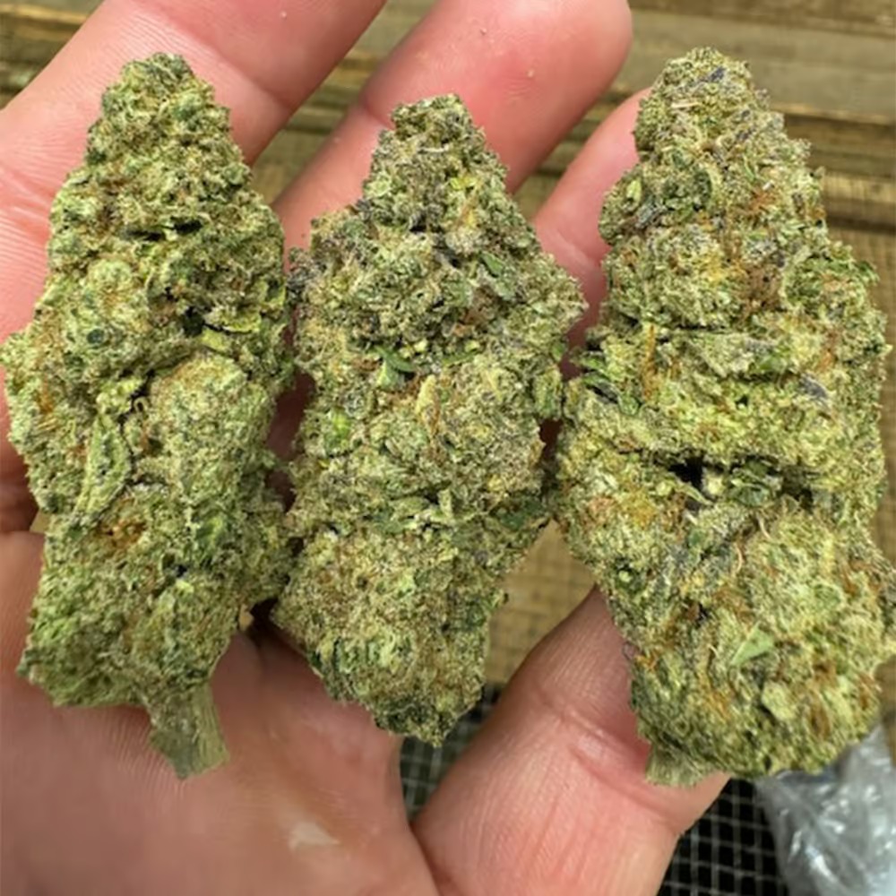 Gushers THCA Flower - Image 3