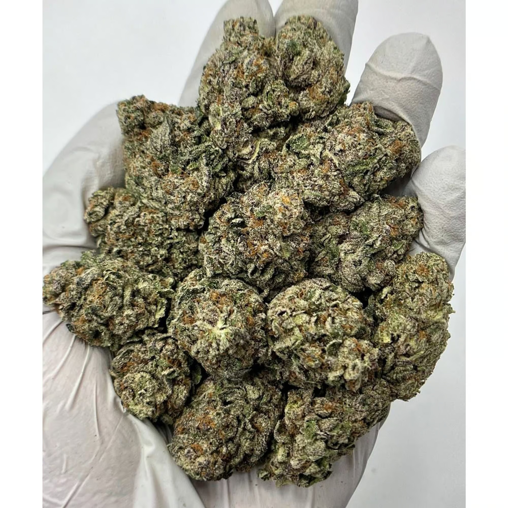 Hella Jelly THCA Flower - Image 3