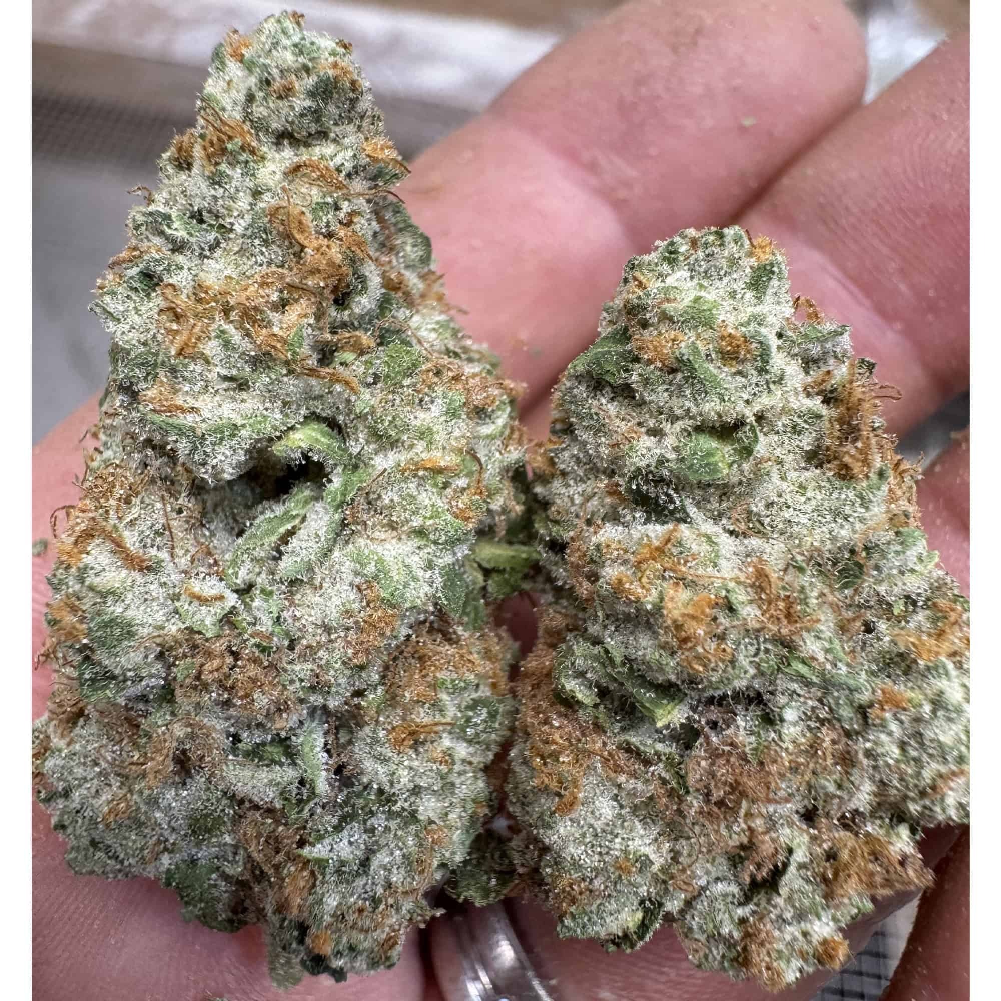 OG Chem THCA Flower - Image 4