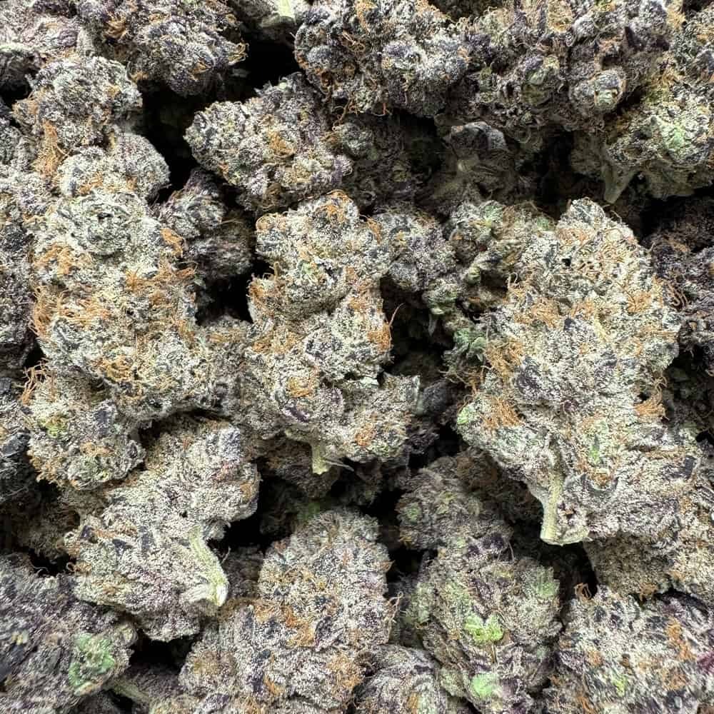 Purple Voodoo THCA Flower - Image 3