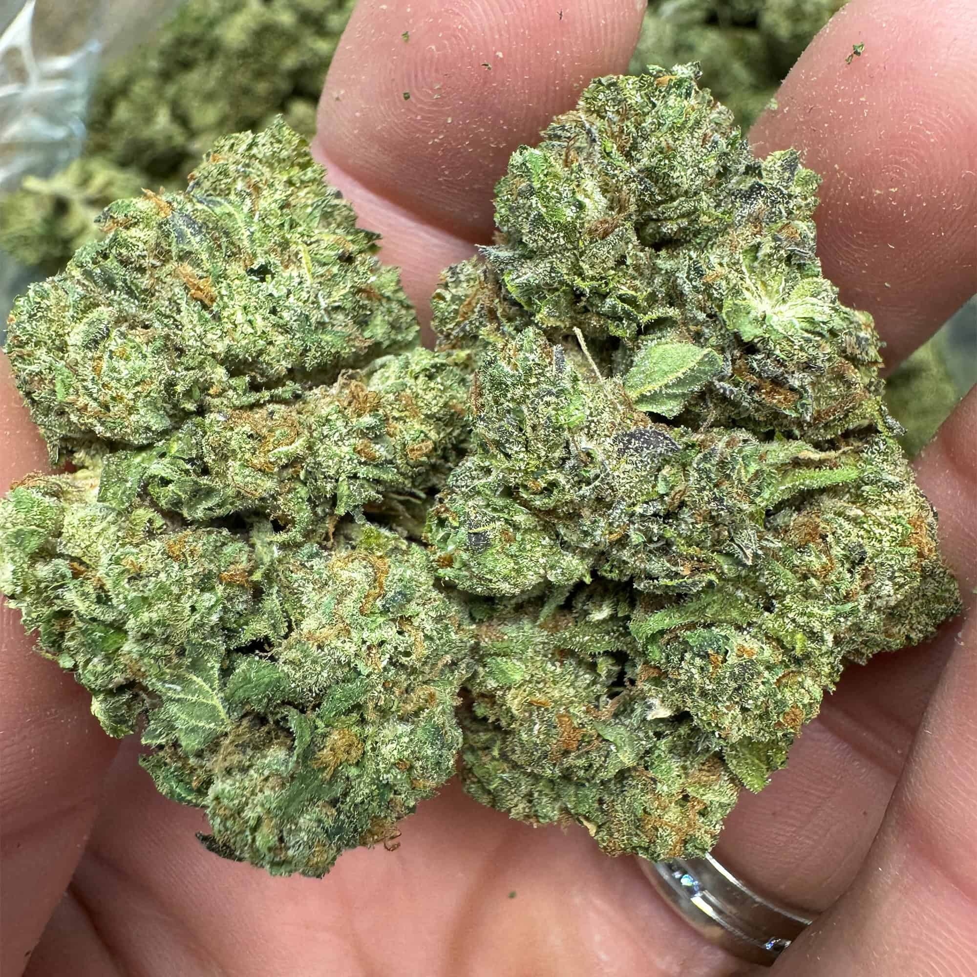 RS11 THCA Flower - Image 3