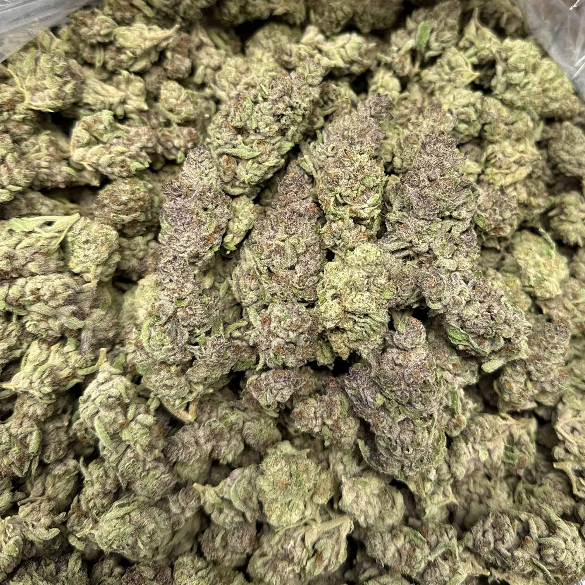 Super Boof THCA Flower
