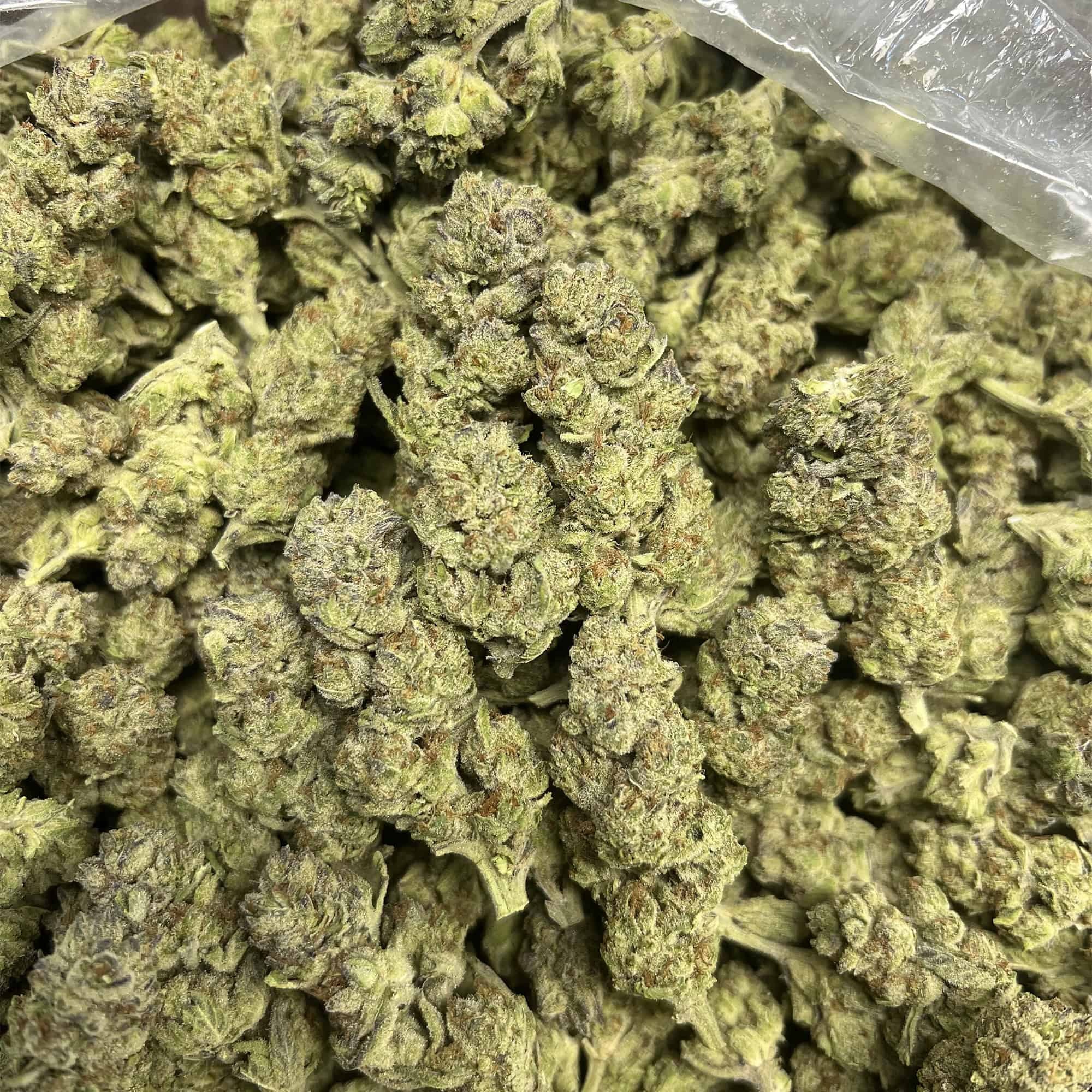 Super Buff Cherry THCA Flower - Image 4