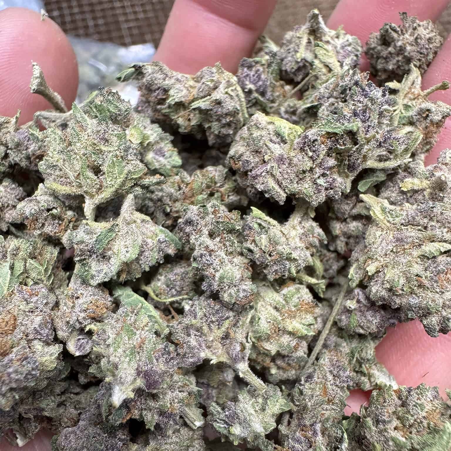 THCA Flower Smalls - Image 3