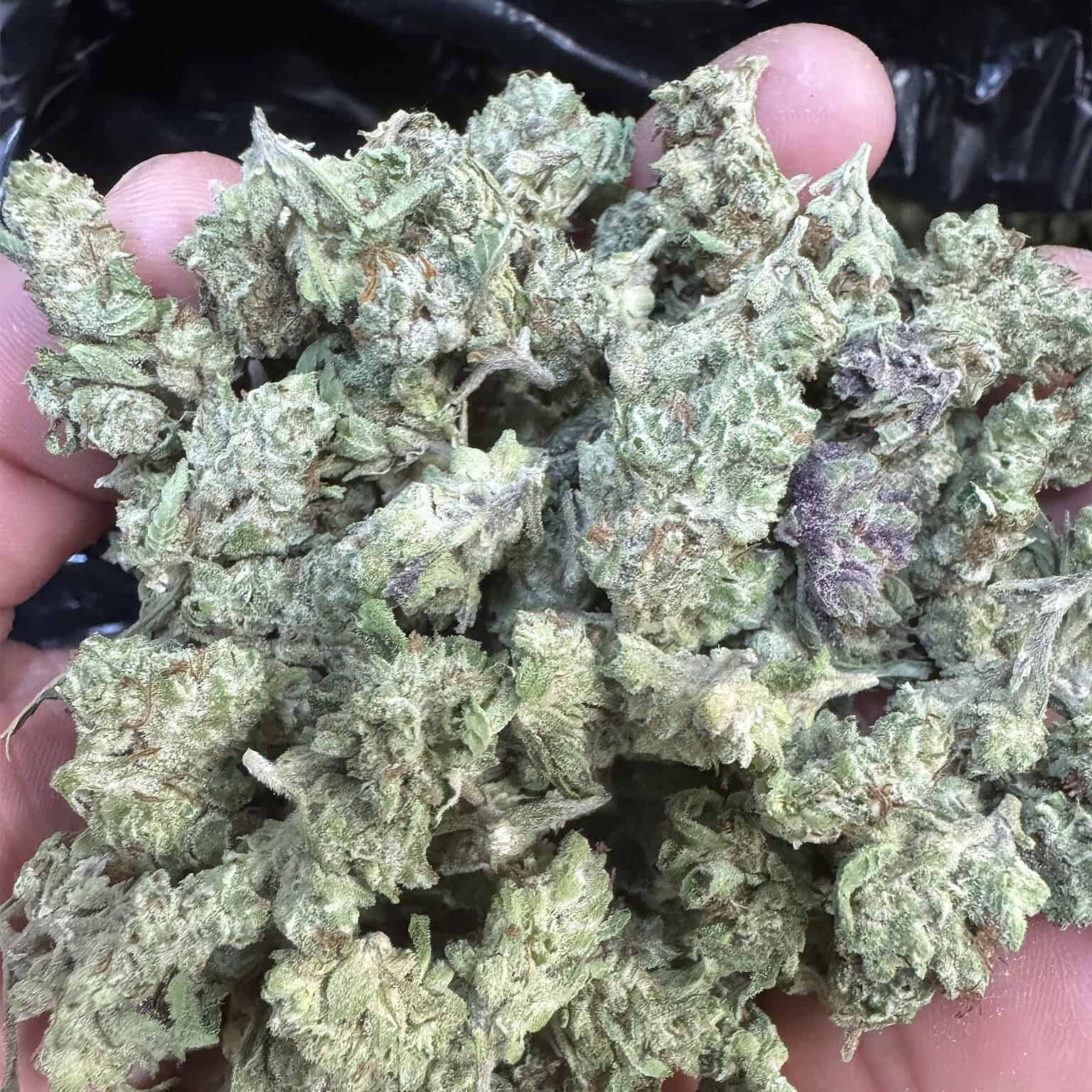 THCA Flower Smalls - Image 4