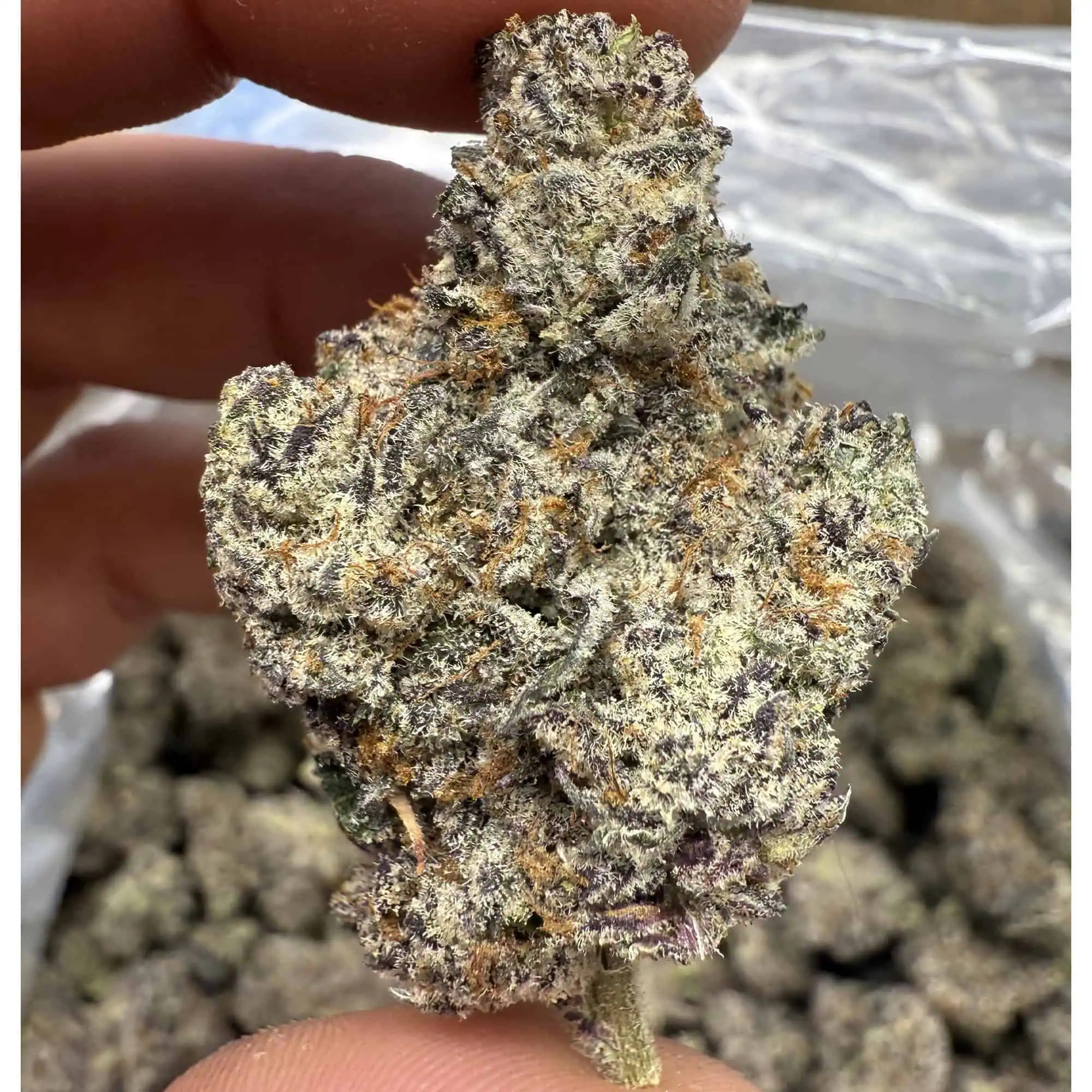 Unicorn Candy THCA Flower - Image 3