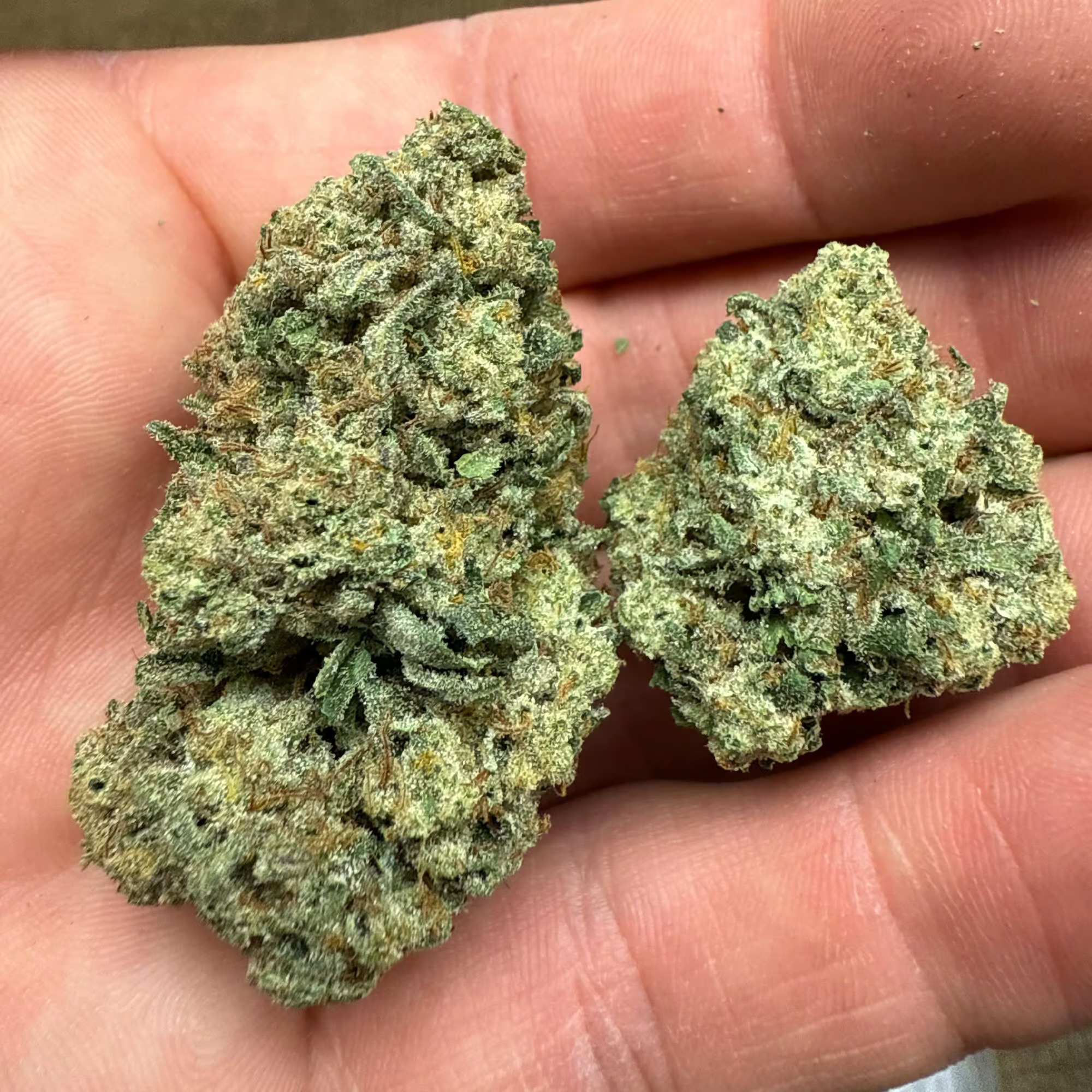Wedding Cake THCA Flower - Image 3