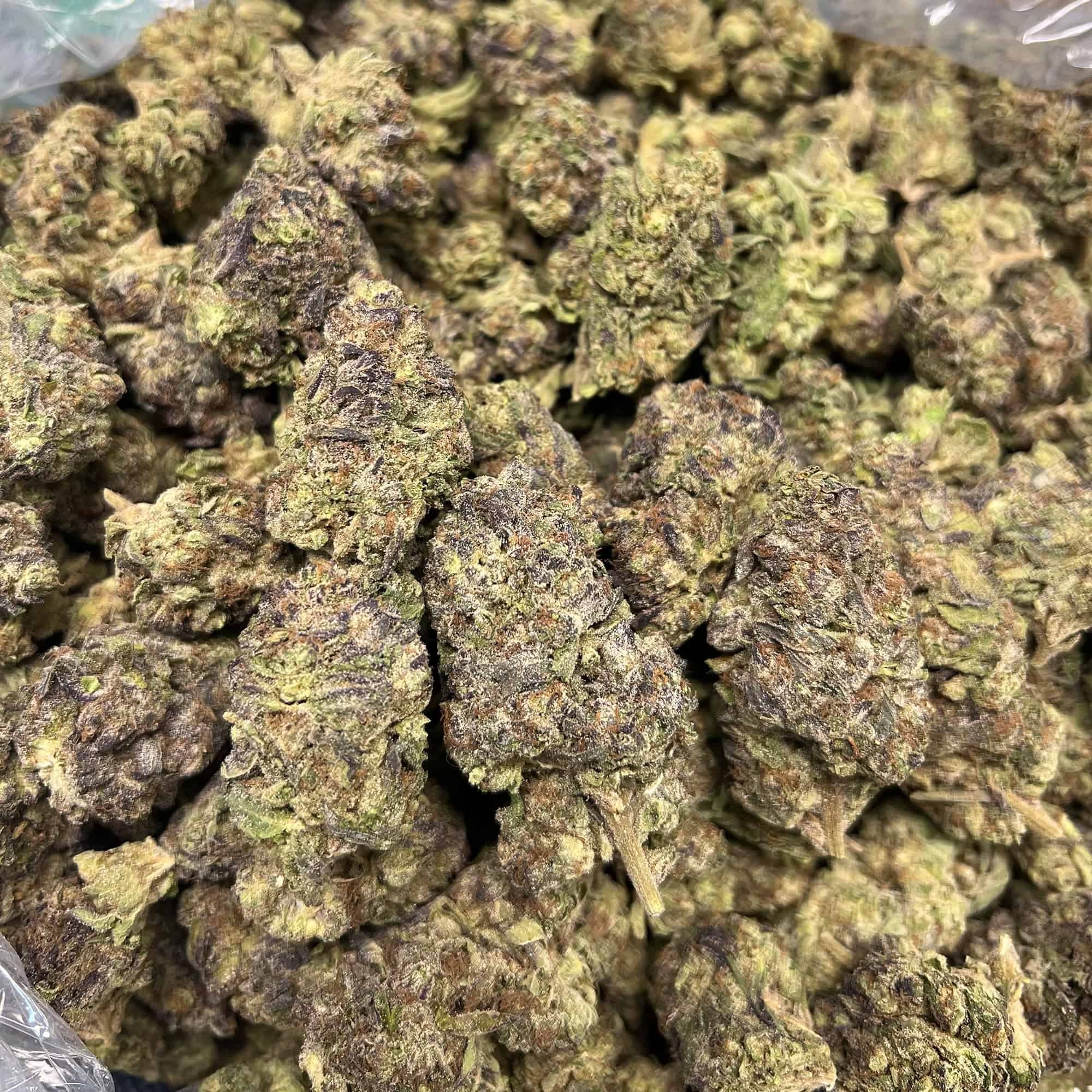 White Fire THCA Flower - Image 3